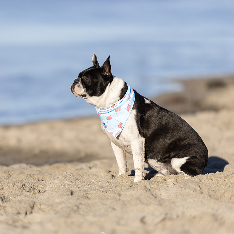 USA July 4th Double Sided Dog Bandana