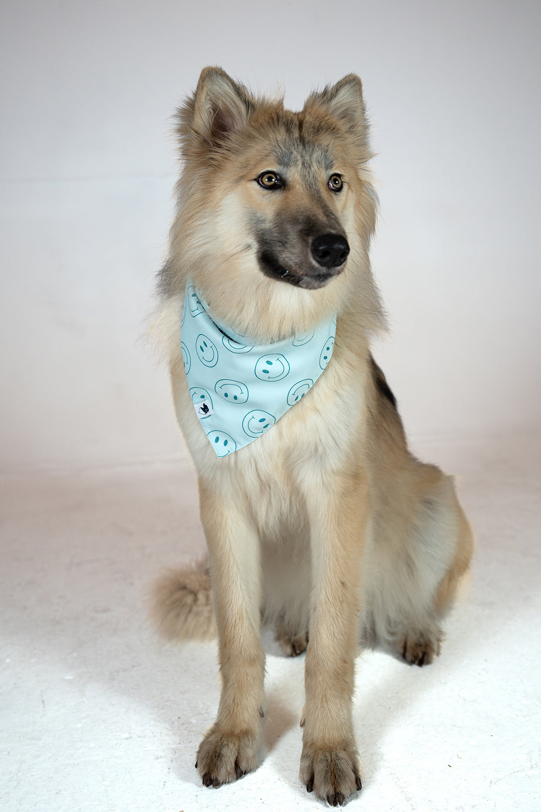 Smiley Face Double Sided Dog Bandana Image