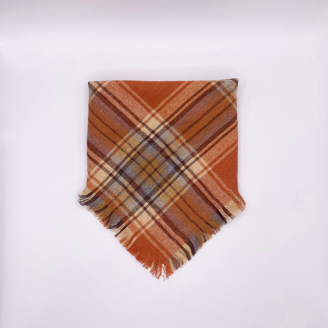 Fall Fringe Dog Bandana
