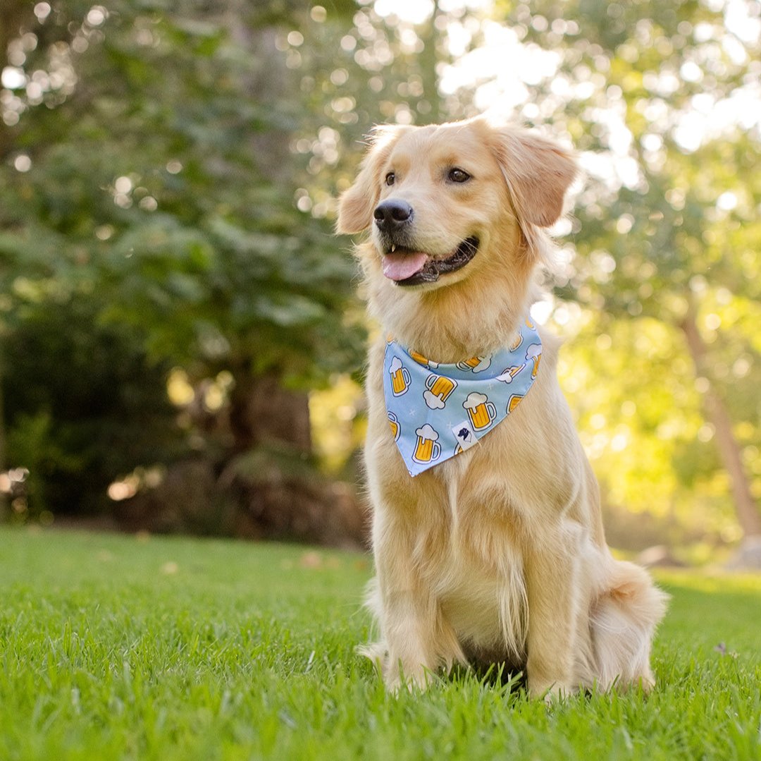 Drinking Brewery Beer Dog Bandana