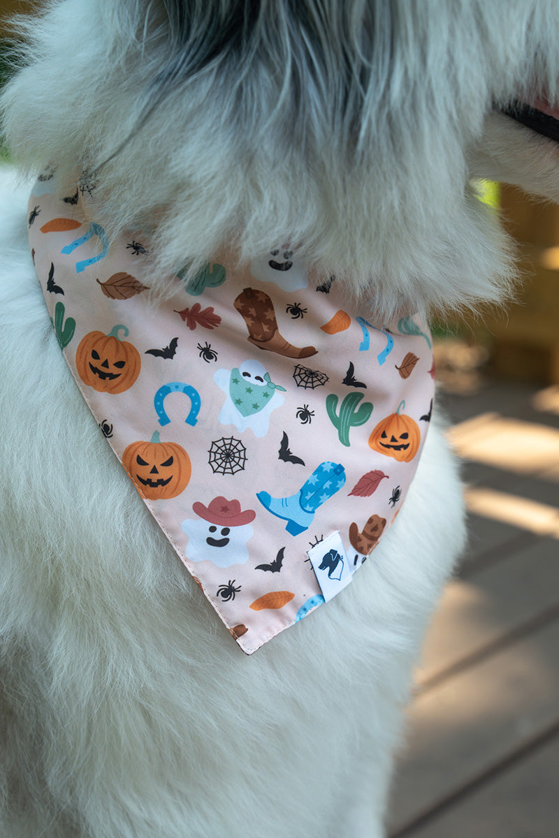 It's Fall Y'all Dog Bandana