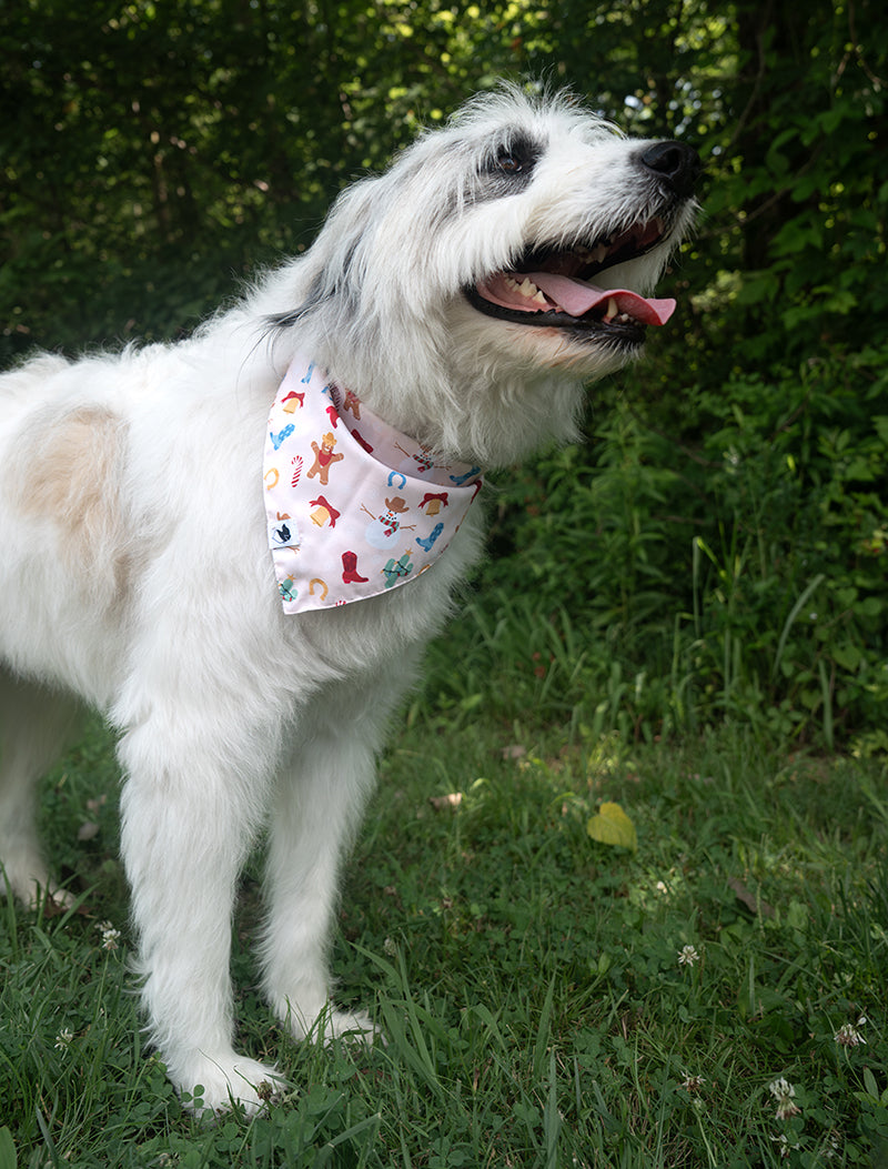 Christmas Movie & Cowboy Snowman Dog Bandana
