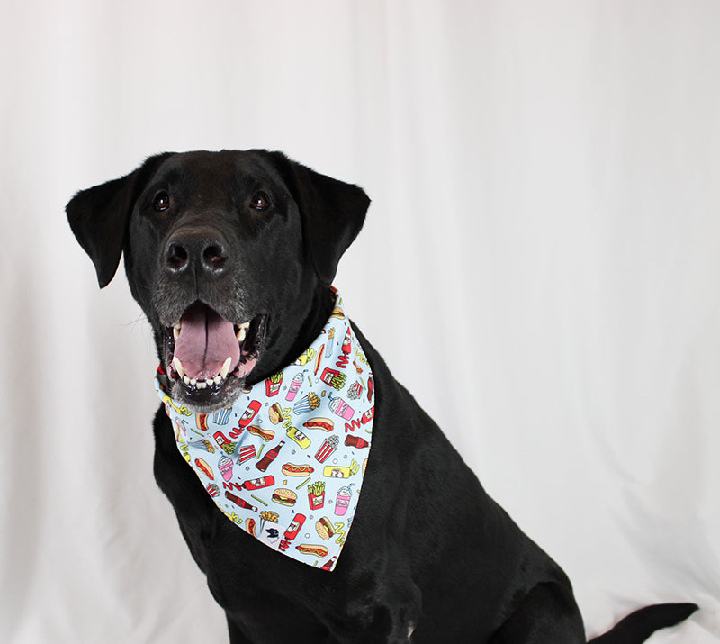 Foodie Hot Dog Pizza Double Sided Dog Bandana