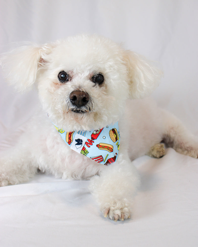 Foodie Hot Dog Pizza Double Sided Dog Bandana