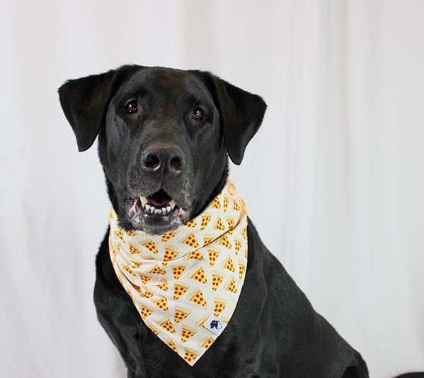 Foodie Hot Dog Pizza Double Sided Dog Bandana