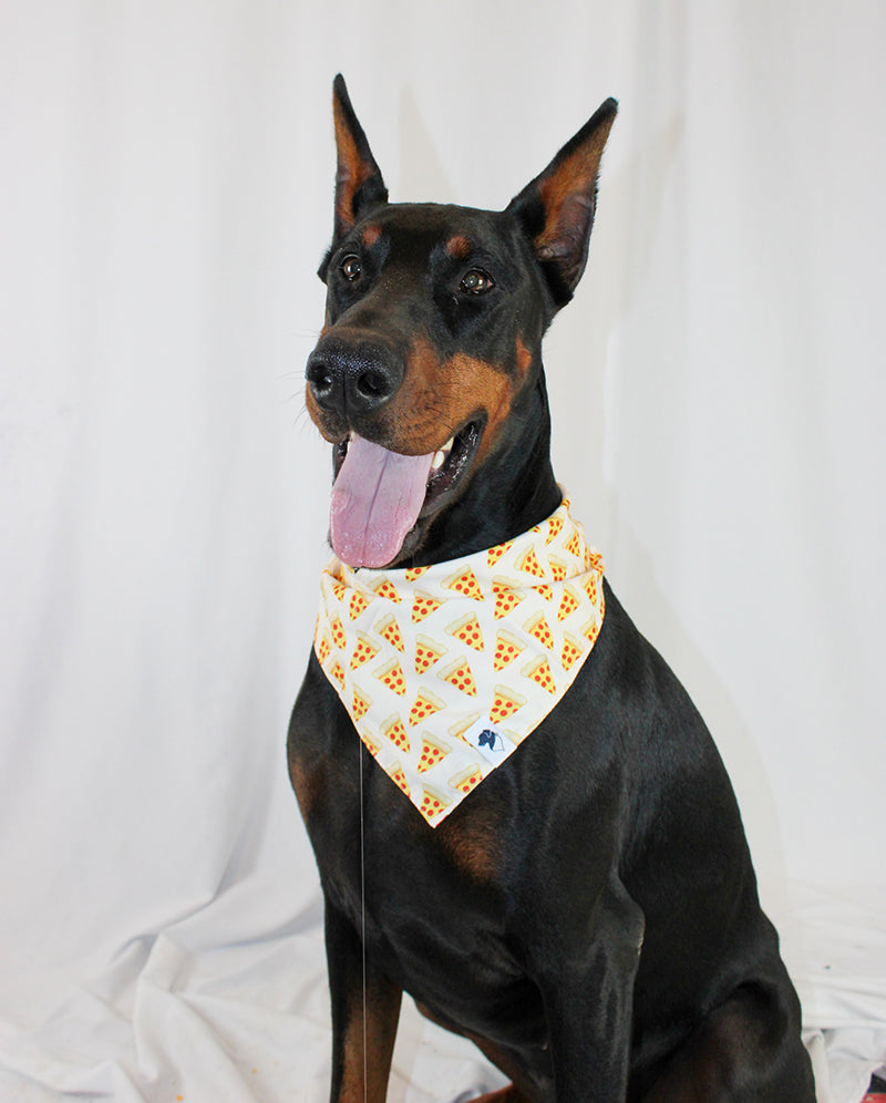 Foodie Hot Dog Pizza Double Sided Dog Bandana