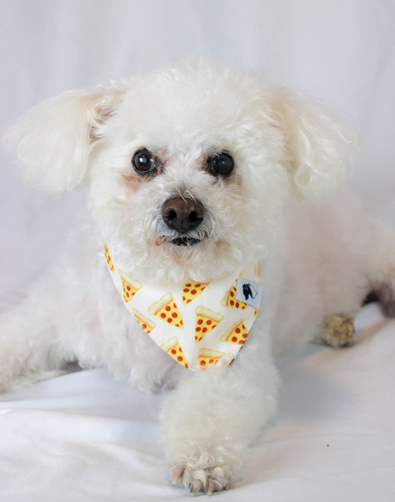 Foodie Hot Dog Pizza Double Sided Dog Bandana