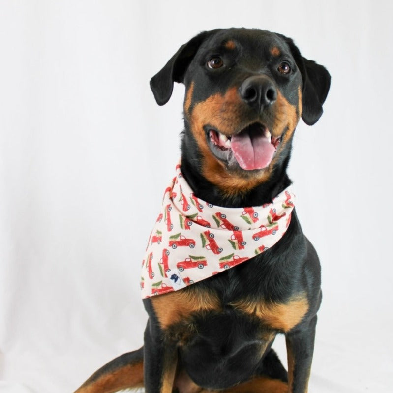 Classic Holiday Truck Dog Bandana