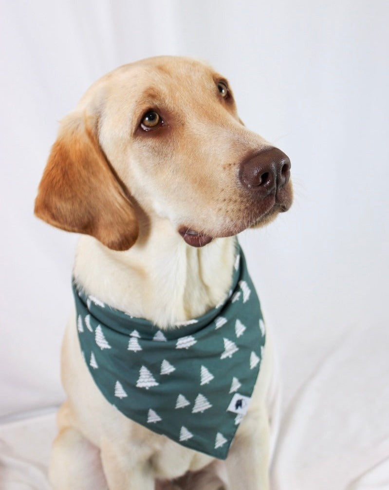 Santa Hat and Trees Dog Bandana