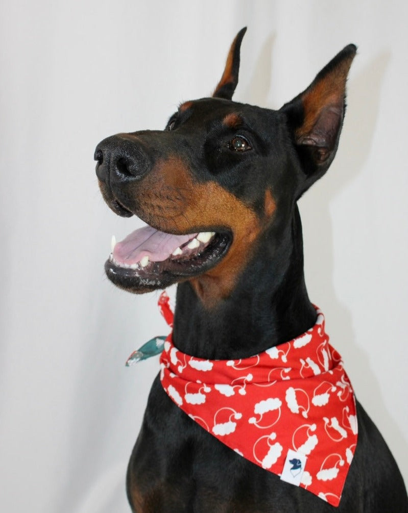 Santa Hat and Trees Dog Bandana
