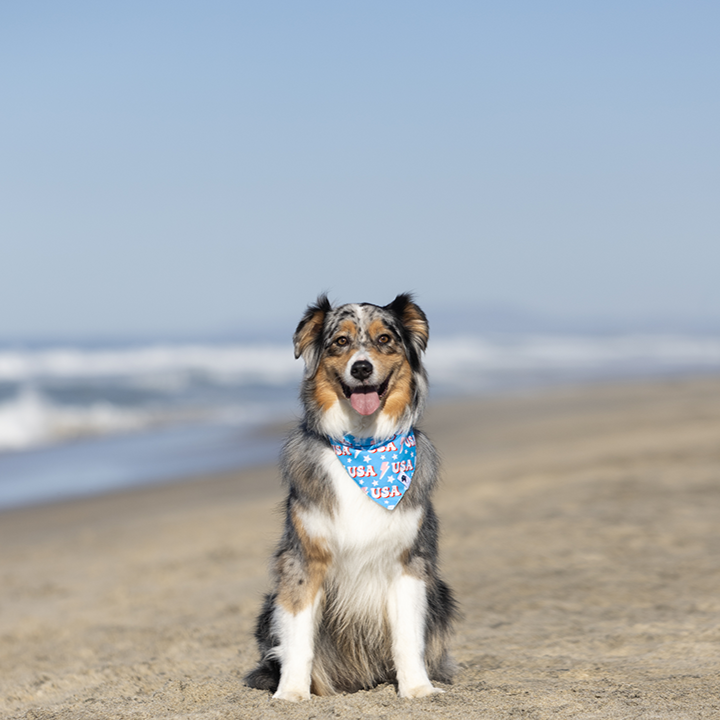 USA July 4th Double Sided Dog Bandana