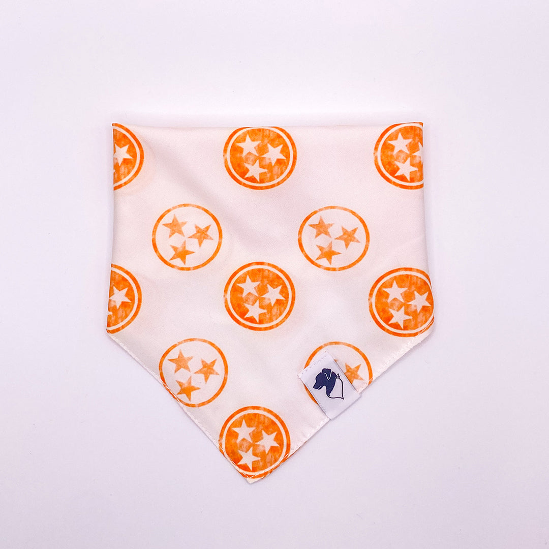 Tennessee Dog Bandana 