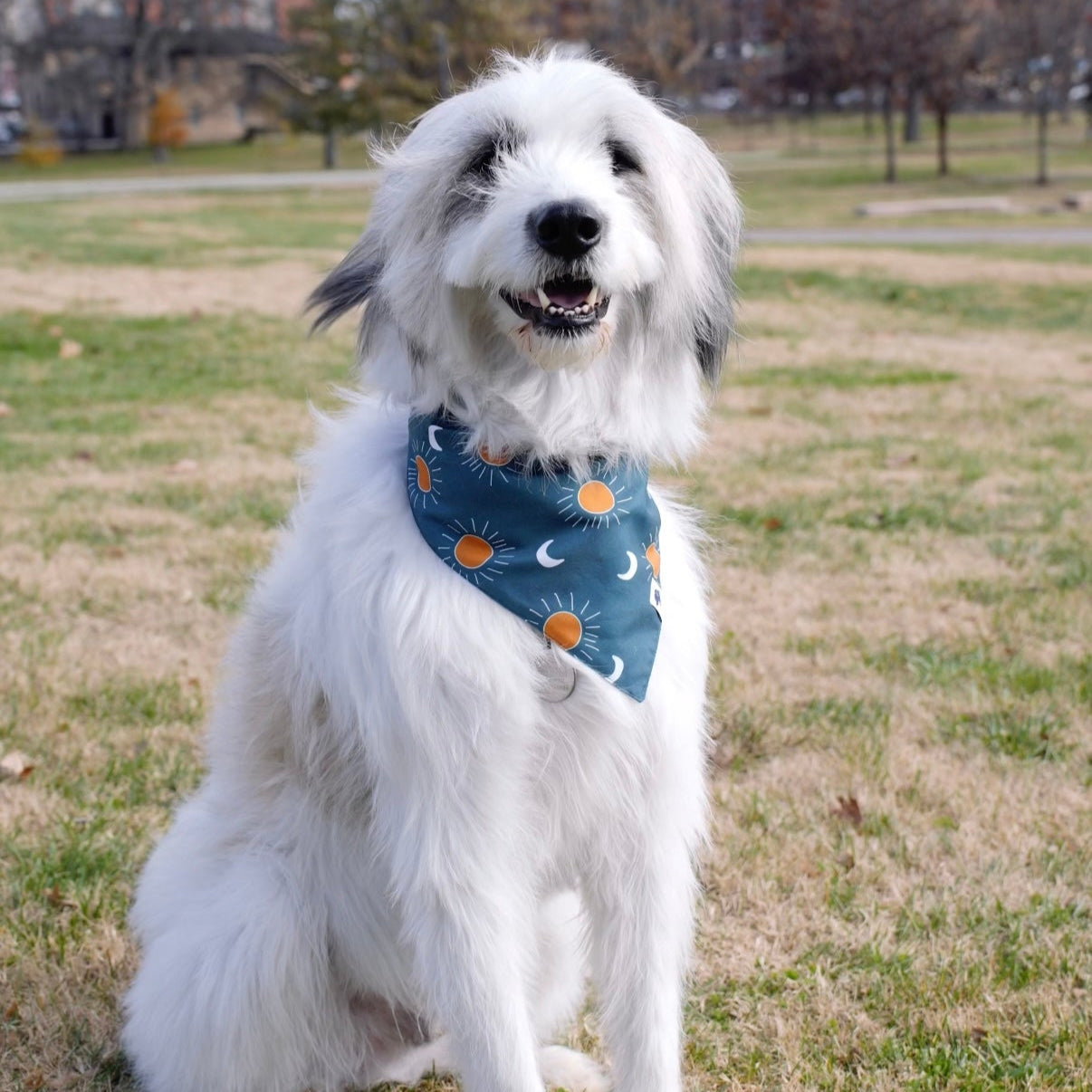 Blue Moon Double Sided Tie & Snap Dog Bandana