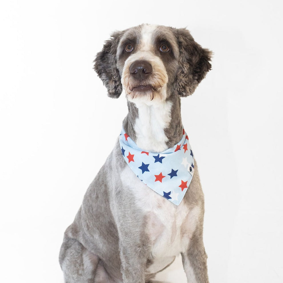 July 4th Patriotic Summer Dog Bandana
