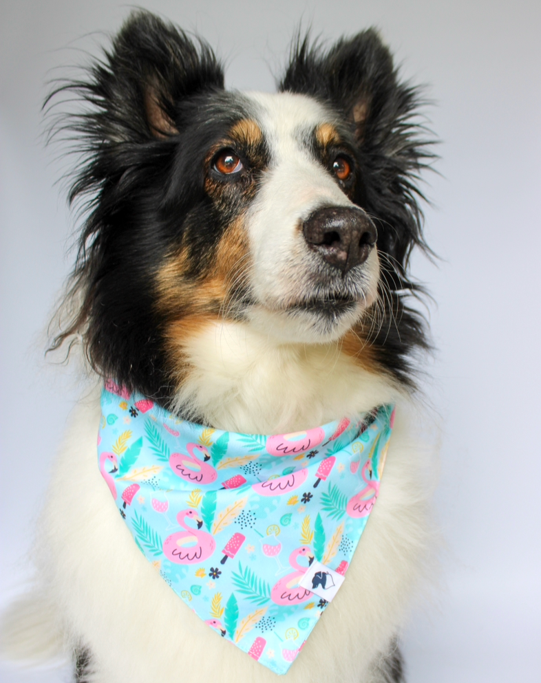 Summer in the Sand Dog Bandana