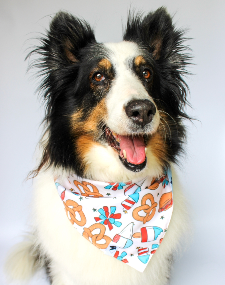 July 4th Patriotic Summer Dog Bandana
