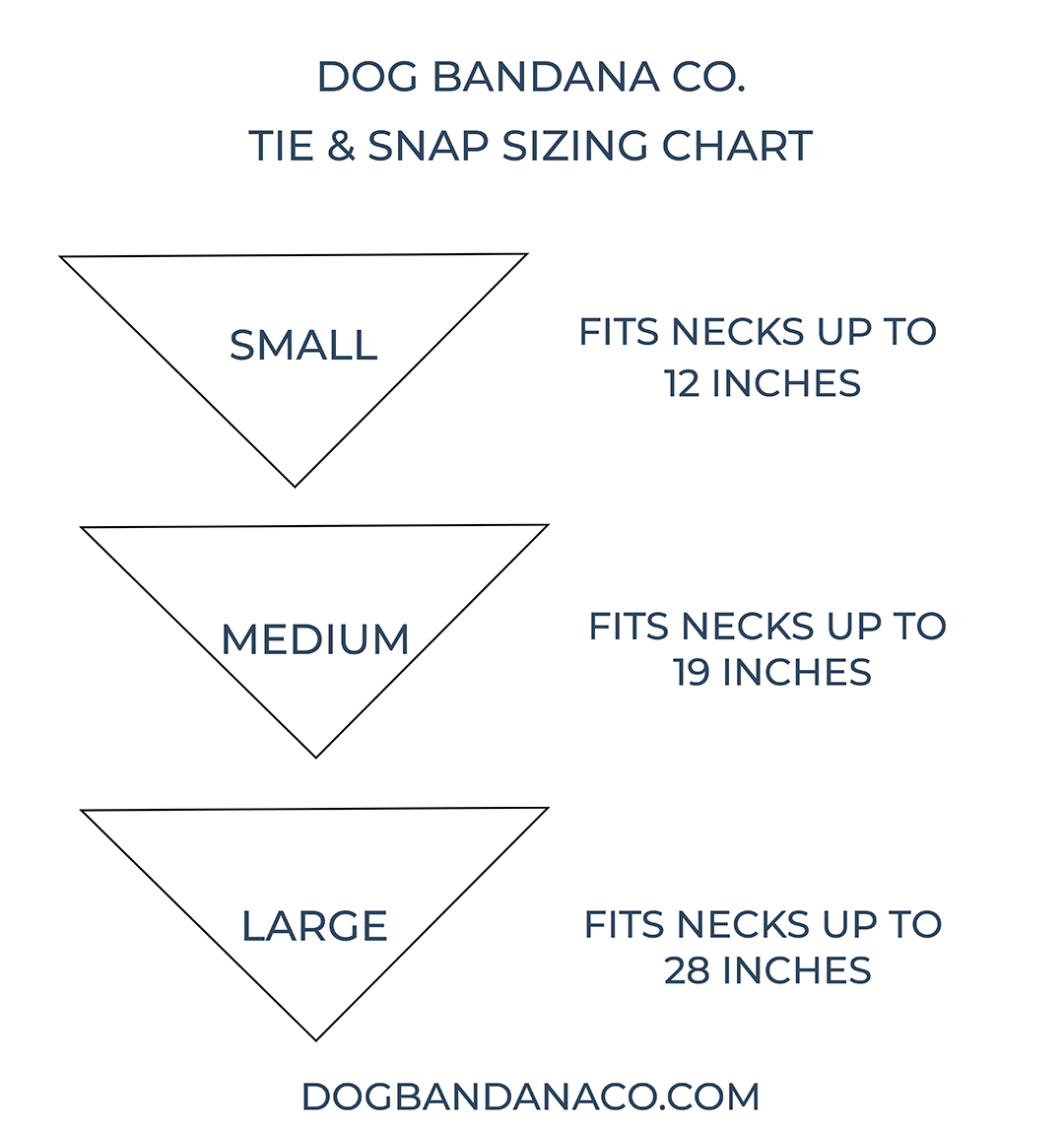 Nashville Strong Dog Bandana - 100% Donated