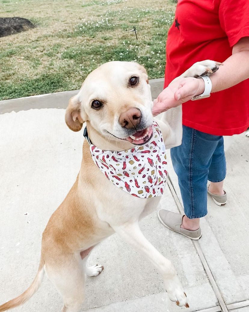 Crawfish Boil Dog Bandana