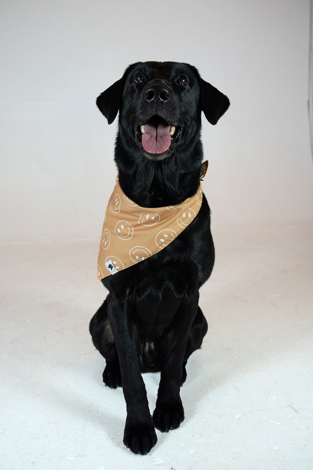 Smiley Face Double Sided Dog Bandana Image