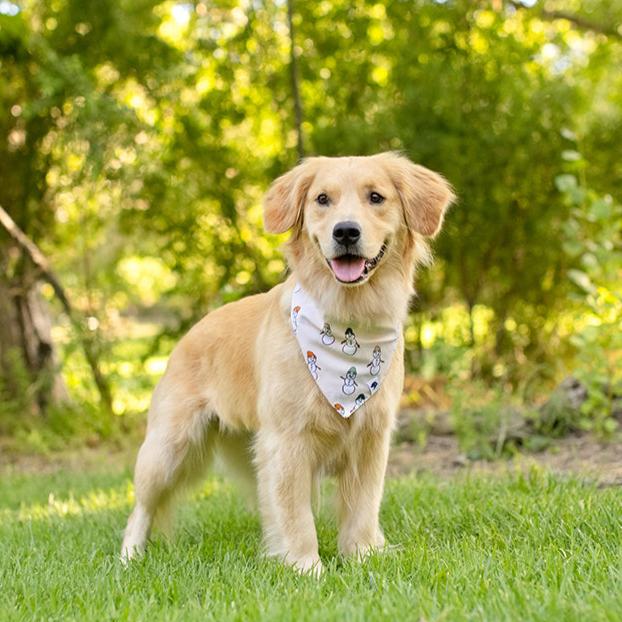 Snowmen & Ornaments Dog Bandana