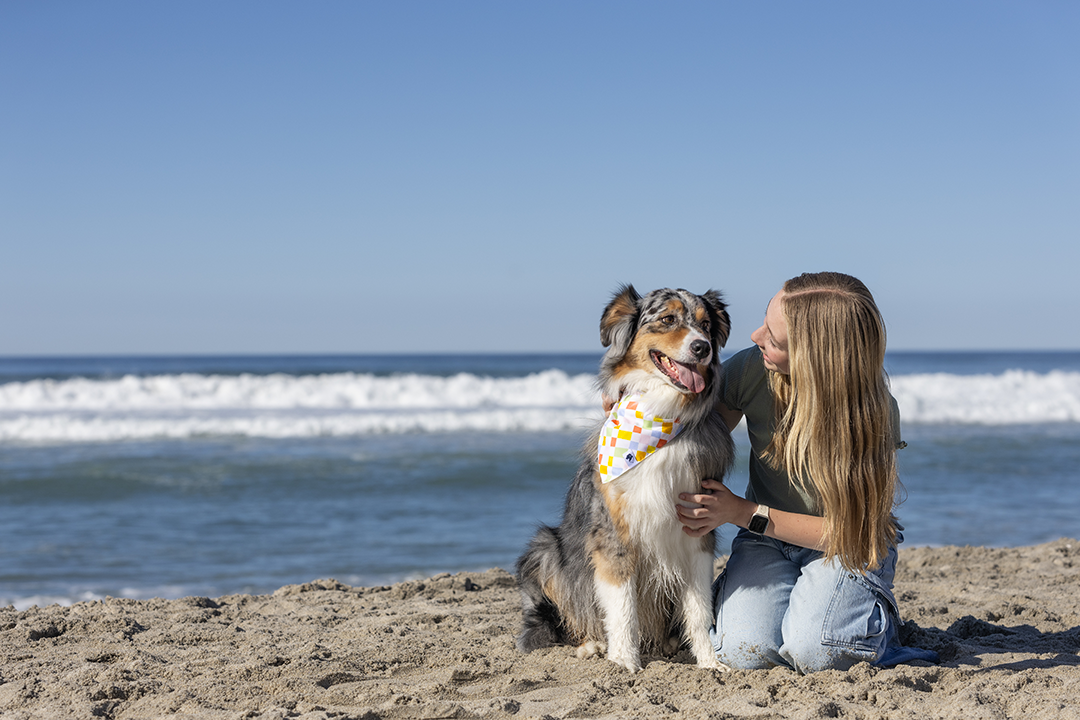 Popsicle Double Sided Dog Bandana