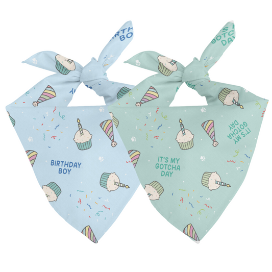 Birthday Boy & Gotcha Day Dog Bandana