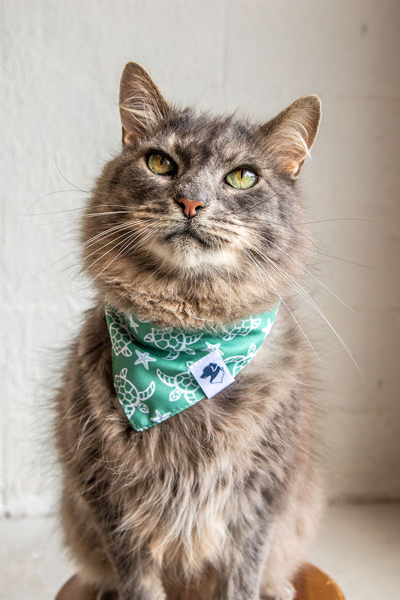 Turtles Dog Bandana