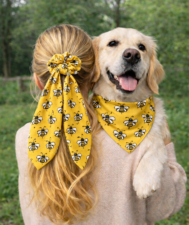 Bandana and Scrunchie Set Image