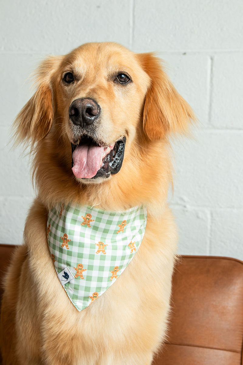 Gingerbread Dog Bandana