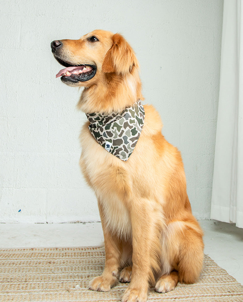 Duck & Camo Dog Bandana