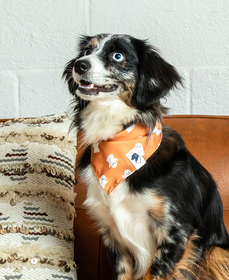 Mummy & Ghost Dog Bandana
