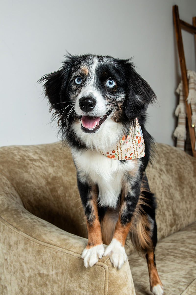 Fall Crochet Dog Bandana