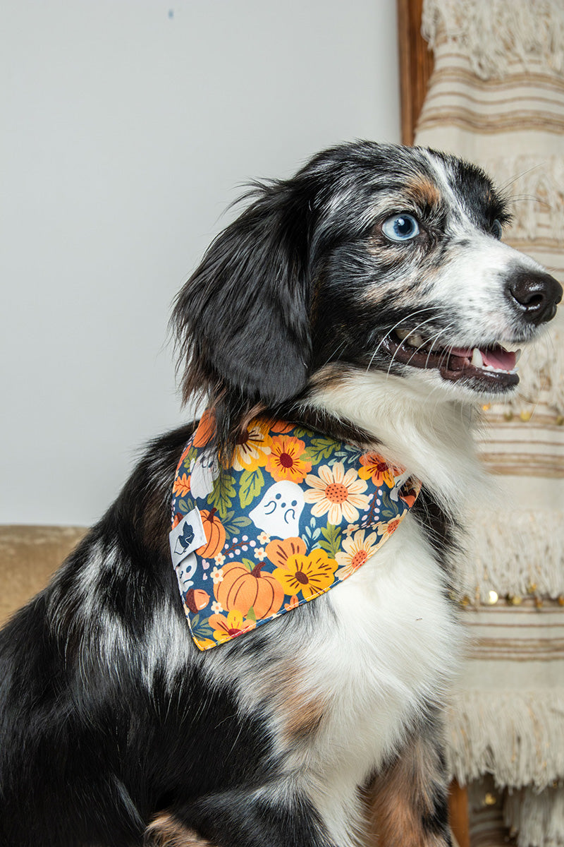 Fall Crochet Dog Bandana