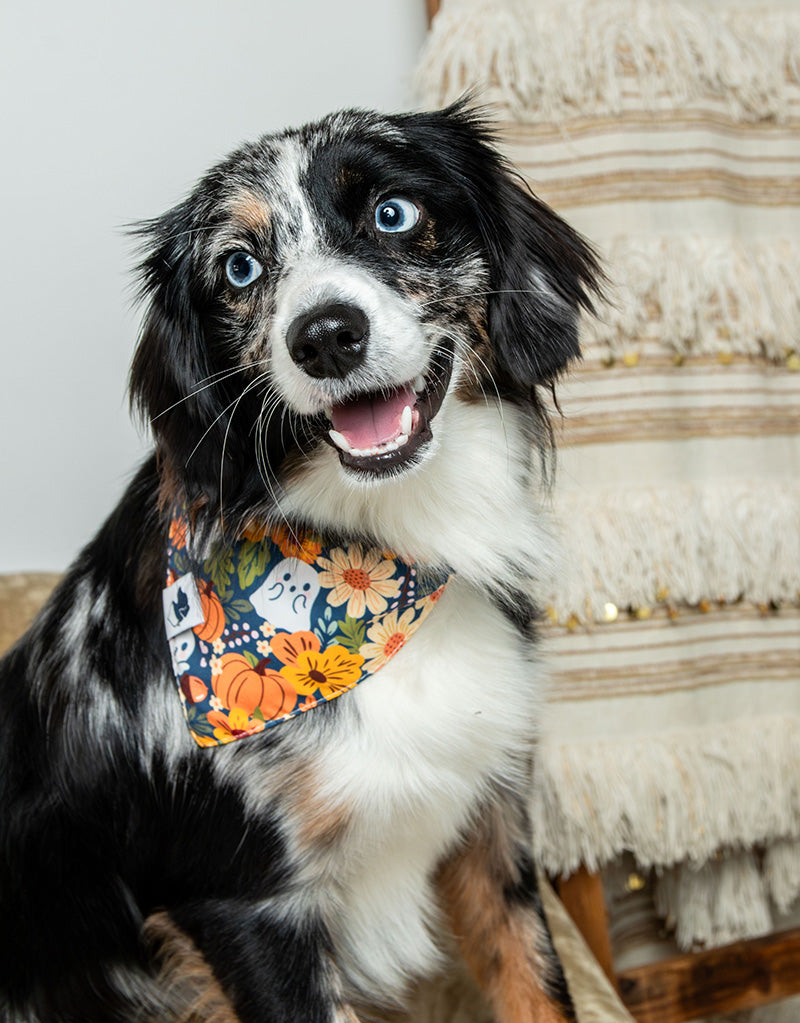 Fall Crochet Dog Bandana