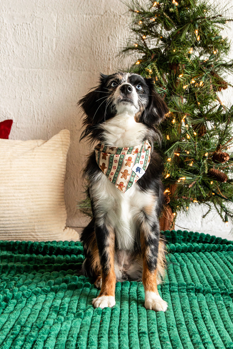 Gingerbread Dog Bandana