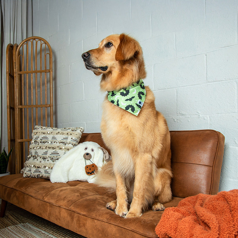 Boo & Bats Dog Bandana
