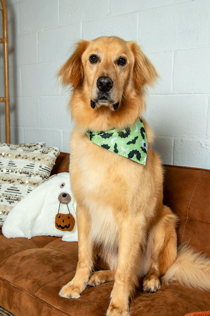 Boo & Bats Dog Bandana