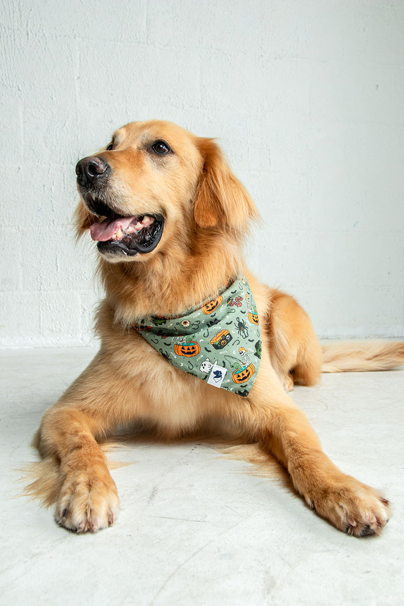 Goblins and Ghouls Dog Bandana