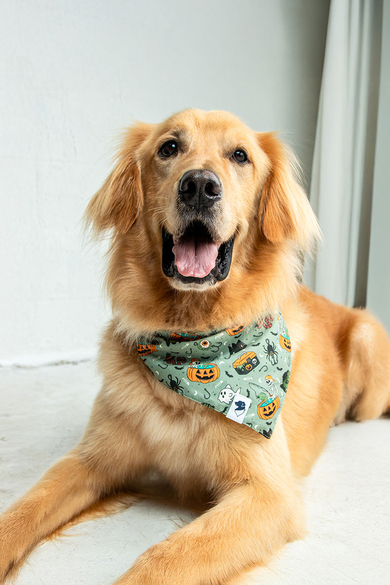 Goblins and Ghouls Dog Bandana