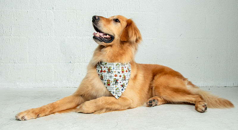 Goblins and Ghouls Dog Bandana