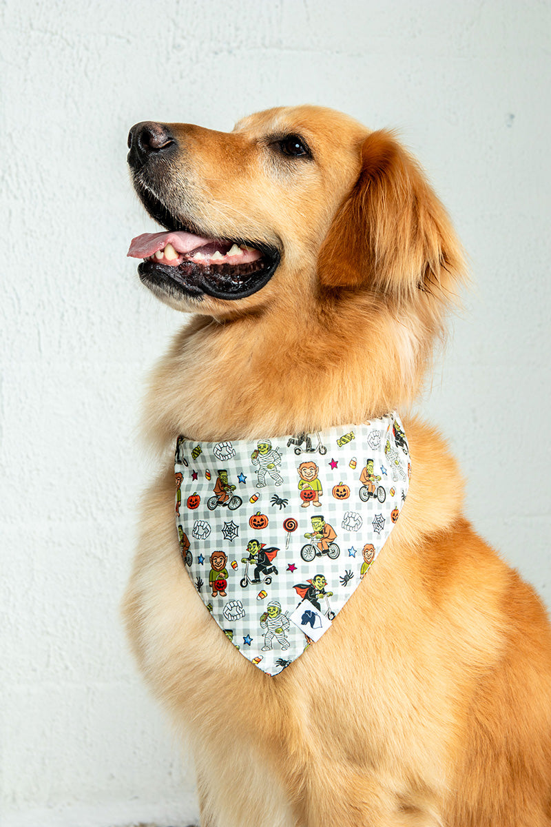 Goblins and Ghouls Dog Bandana