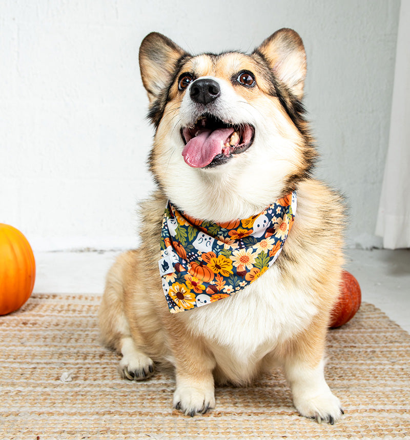Fall Crochet Dog Bandana