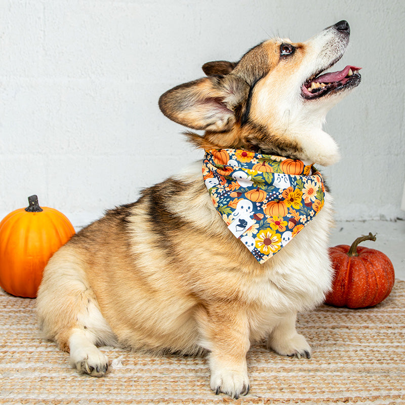 Fall Crochet Dog Bandana