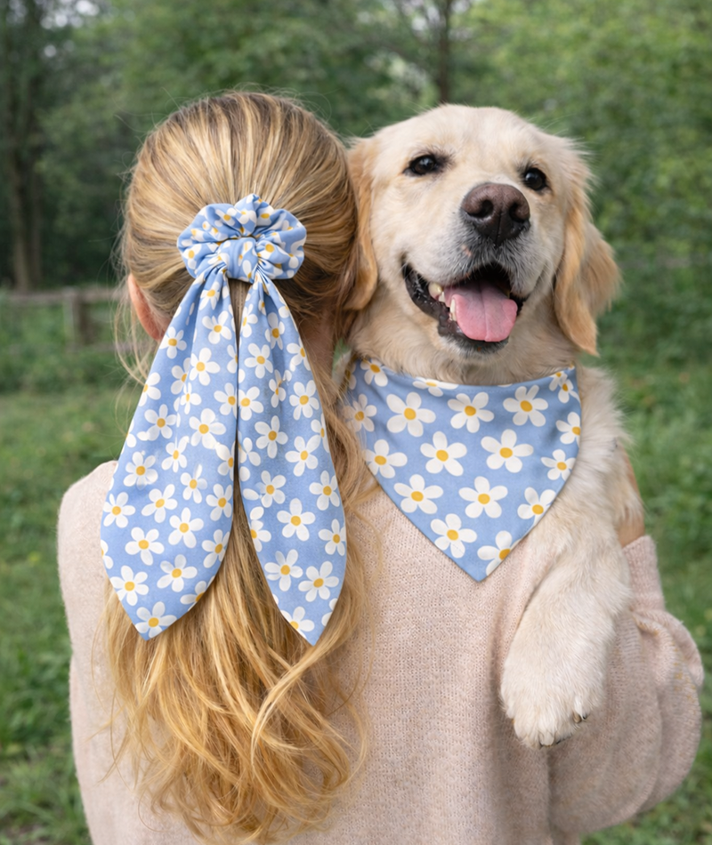 Bandana and Scrunchie Set Image