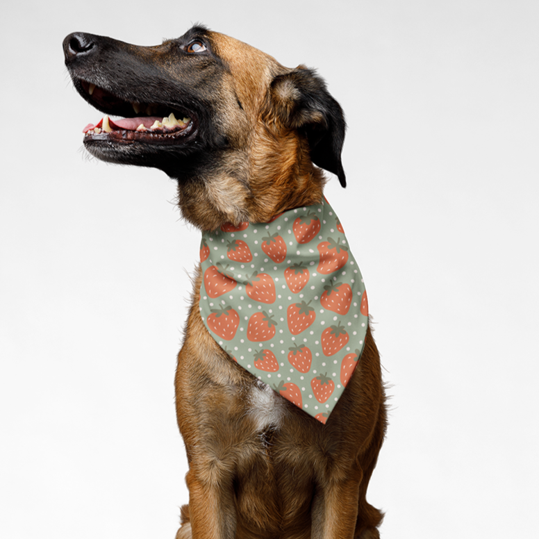 Strawberry Tie On Dog Bandana