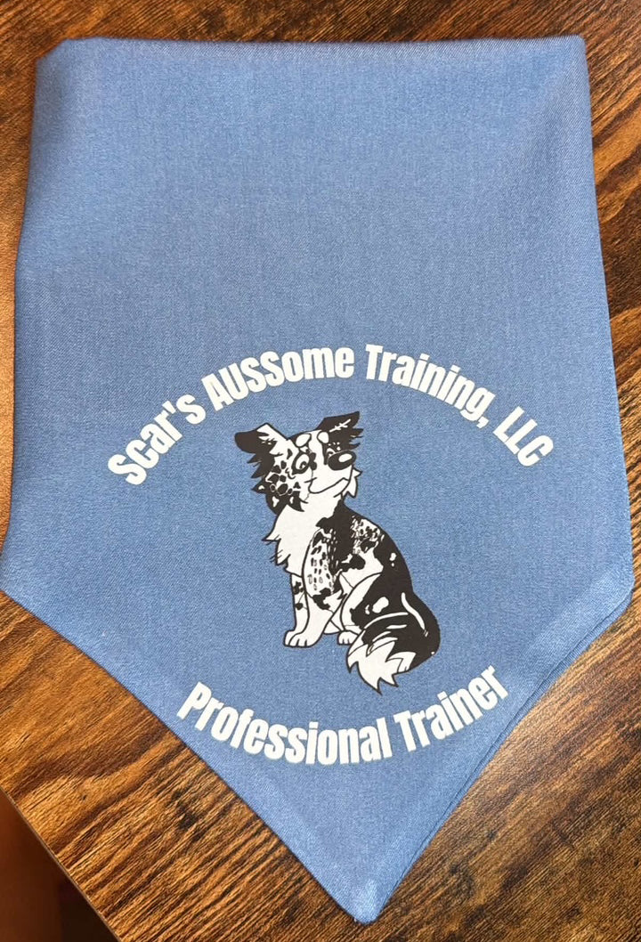 Customizable Denim Dog Bandana