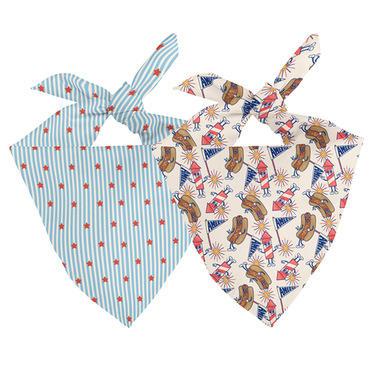 American Summer Reversible Dog Bandana