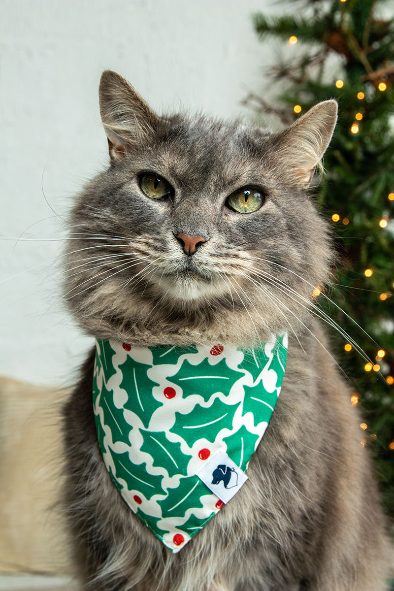 A cat wearing the Dog Bandana Co. Holly Martini Christmas Reversible Dog Bandana with the Holly side showing