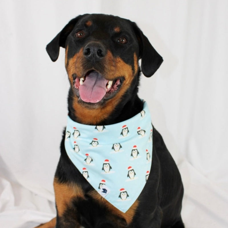 Brown and Black dog wearing the Dog Bandana Co. Reindeer & Penguin Christmas Reversible Dog Bandana