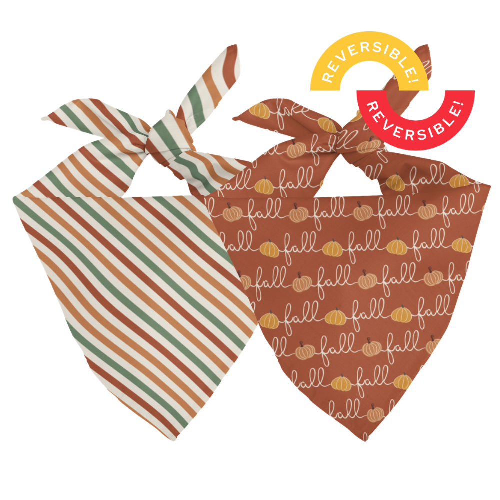 Fall cursive text with pumpkins and fall colored stripes double sided dog bandana